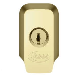 Polished Brass Polished Brass