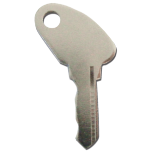 Large Avocet Key