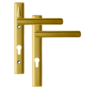 Polished Gold Polished Gold