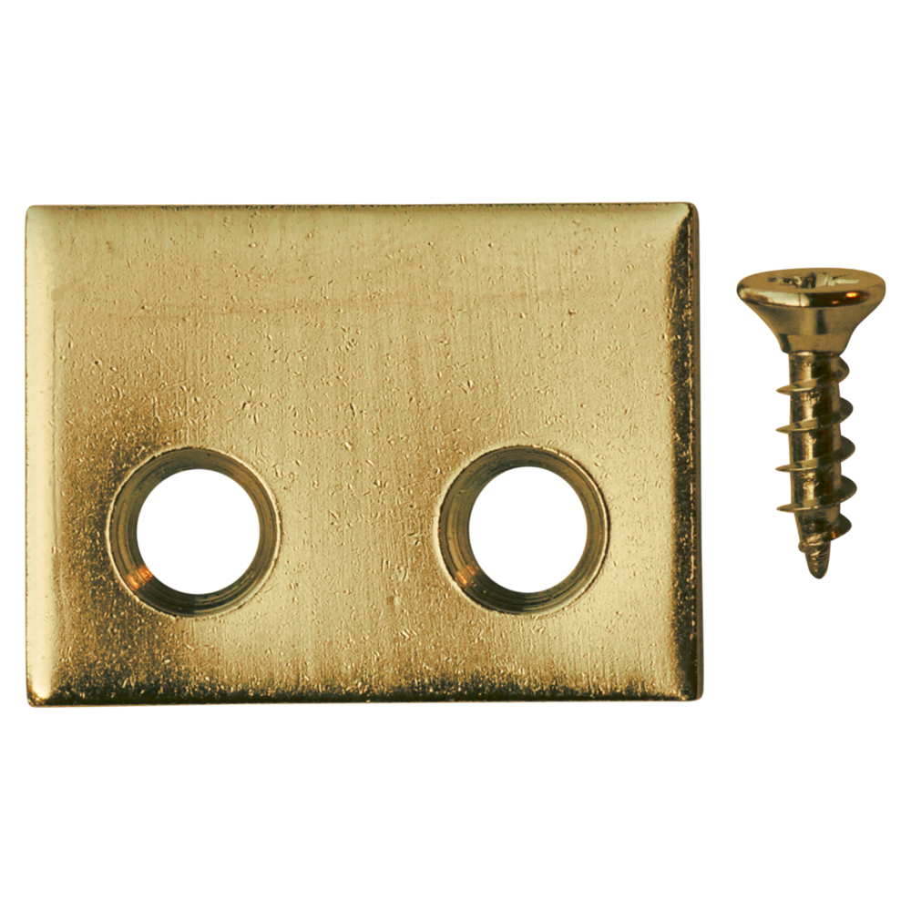 PB 10 Plates & 20 Screws