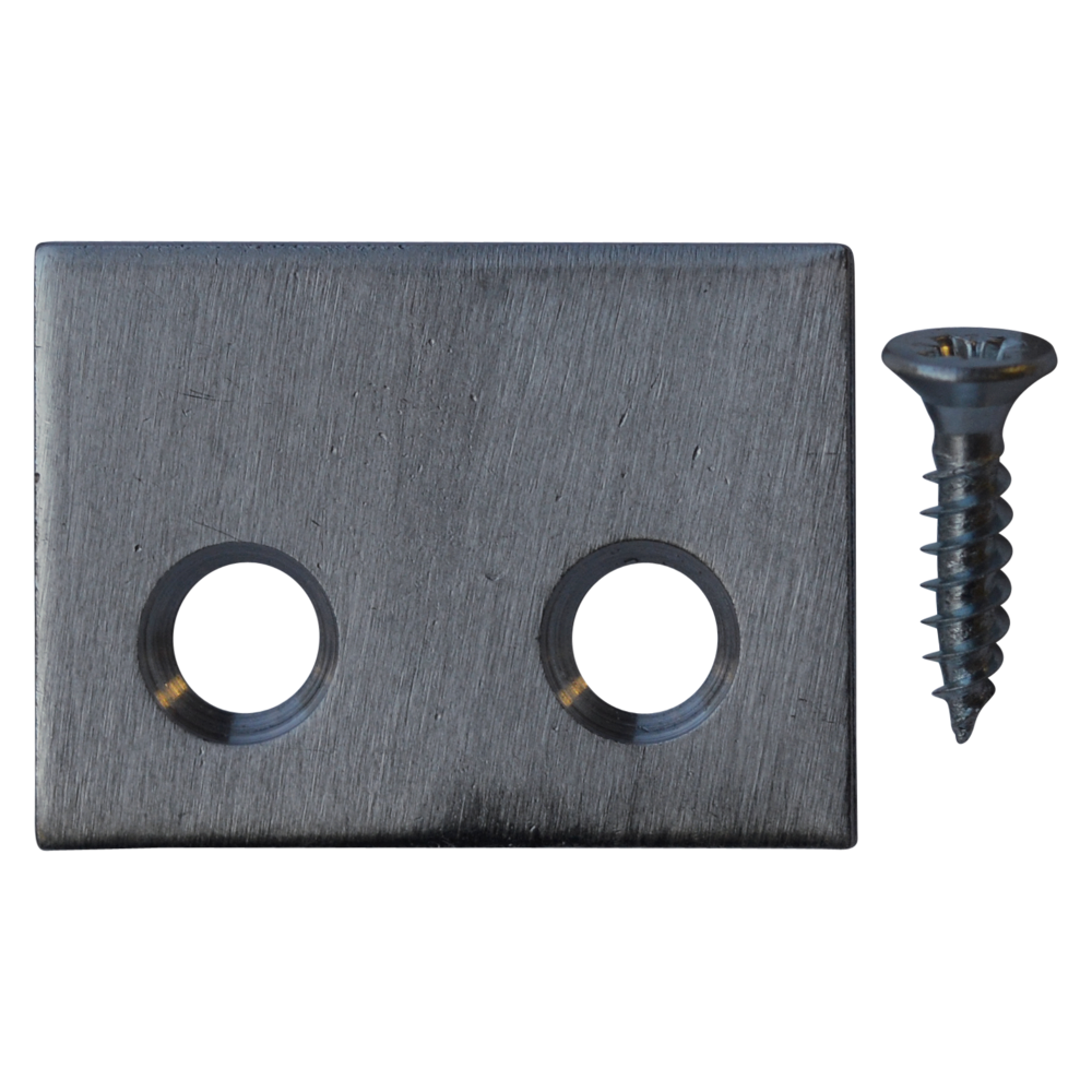 NP 10 Plates & 20 Screws